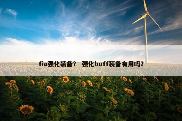 fia强化装备？ 强化buff装备有用吗？