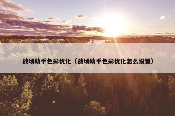 战场助手色彩优化（战场助手色彩优化怎么设置）