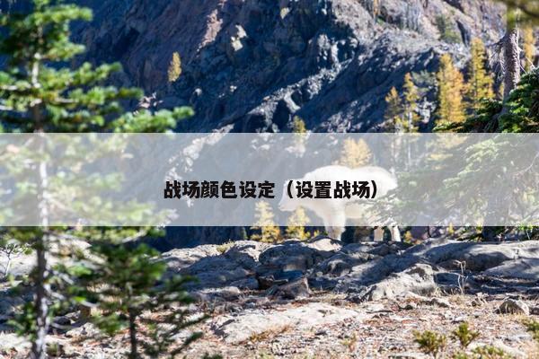 战场颜色设定（设置战场）