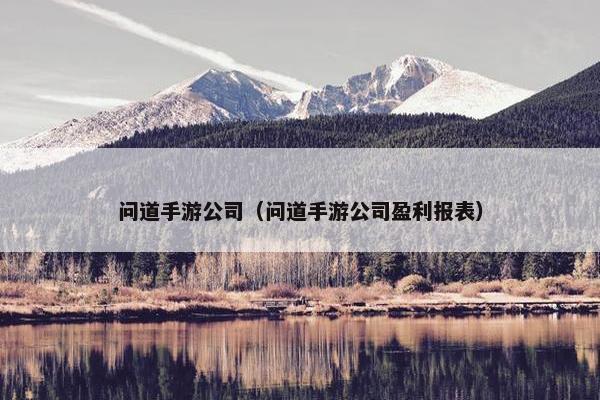 问道手游公司（问道手游公司盈利报表）