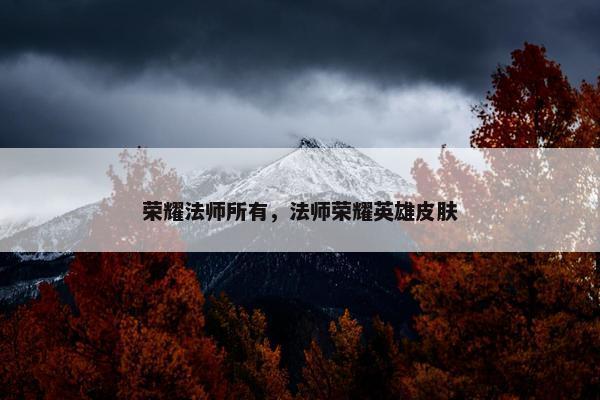 荣耀法师所有，法师荣耀英雄皮肤