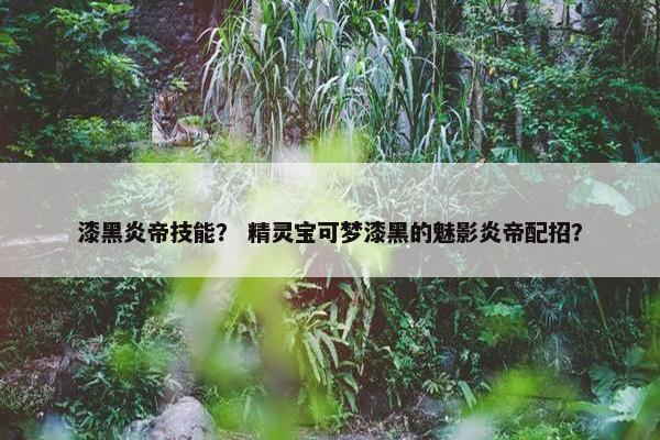漆黑炎帝技能？ 精灵宝可梦漆黑的魅影炎帝配招？