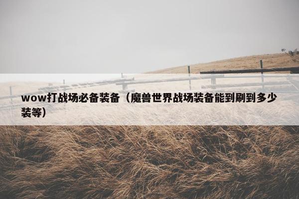 wow打战场必备装备（魔兽世界战场装备能到刷到多少装等）