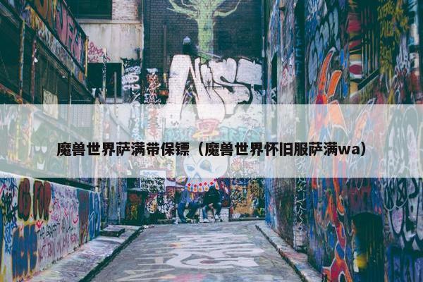 魔兽世界萨满带保镖（魔兽世界怀旧服萨满wa）