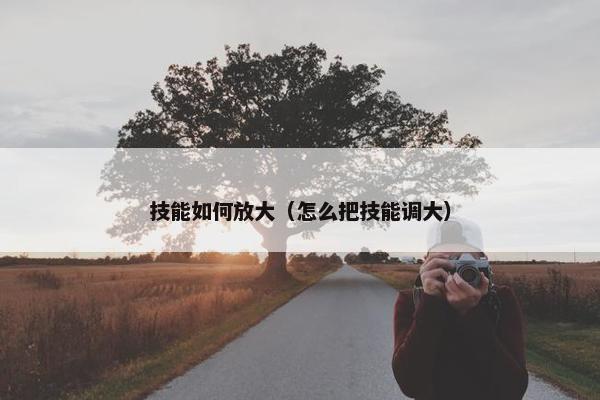 技能如何放大（怎么把技能调大）