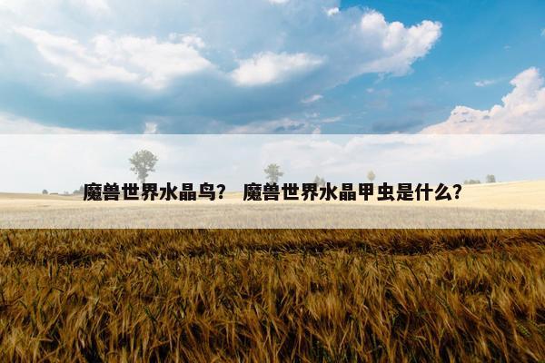 魔兽世界水晶鸟？ 魔兽世界水晶甲虫是什么？