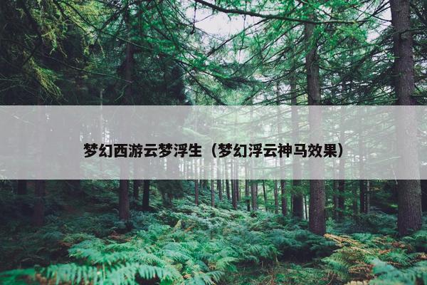 梦幻西游云梦浮生（梦幻浮云神马效果）