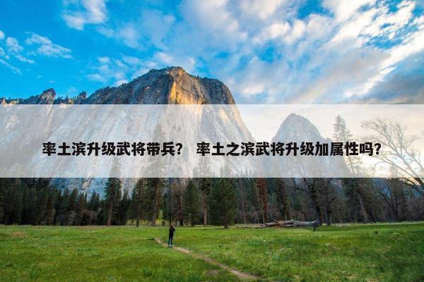 率土滨升级武将带兵？ 率土之滨武将升级加属性吗？