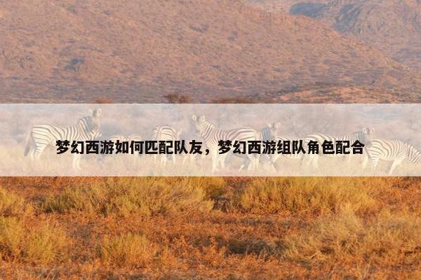 梦幻西游如何匹配队友，梦幻西游组队角色配合