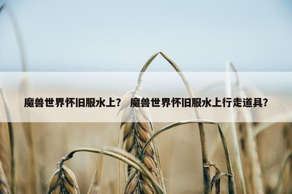 魔兽世界怀旧服水上？ 魔兽世界怀旧服水上行走道具？