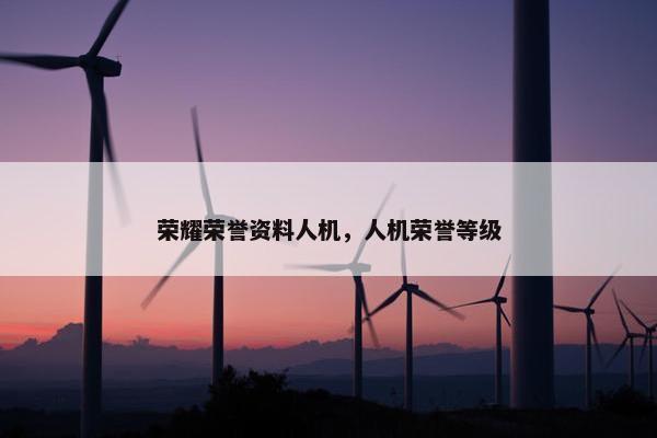 荣耀荣誉资料人机，人机荣誉等级