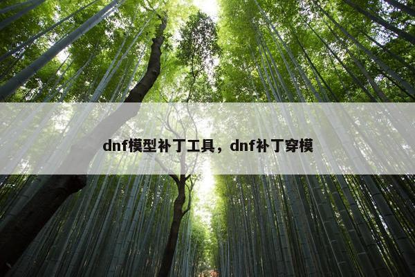 dnf模型补丁工具，dnf补丁穿模