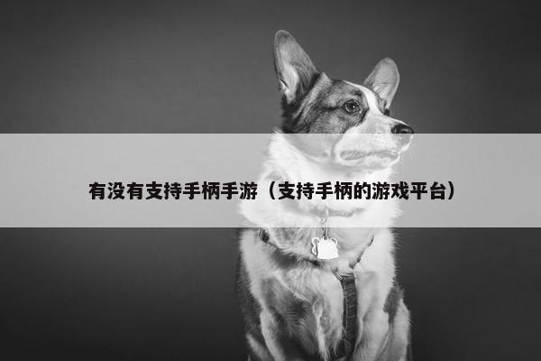 有没有支持手柄手游（支持手柄的游戏平台）