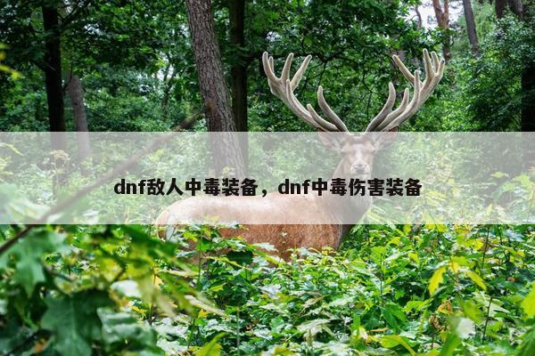 dnf敌人中毒装备，dnf中毒伤害装备