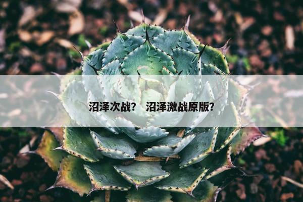 沼泽次战？ 沼泽激战原版？