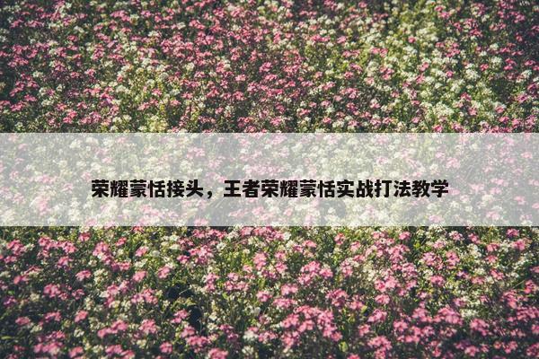 荣耀蒙恬接头，王者荣耀蒙恬实战打法教学