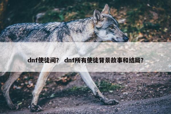 dnf使徒间？ dnf所有使徒背景故事和结局？
