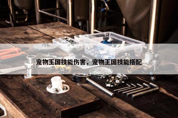 宠物王国技能伤害，宠物王国技能搭配