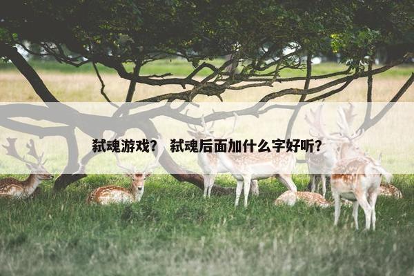 弑魂游戏？ 弑魂后面加什么字好听？