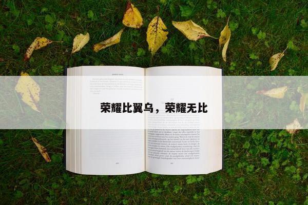 荣耀比翼乌，荣耀无比