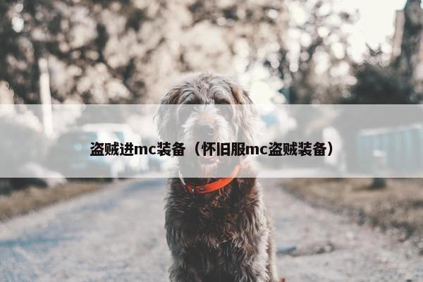盗贼进mc装备（怀旧服mc盗贼装备）