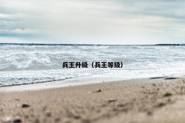 兵王升级（兵王等级）