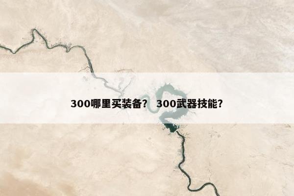 300哪里买装备？ 300武器技能？