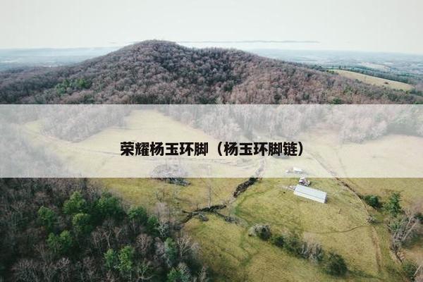 荣耀杨玉环脚（杨玉环脚链）