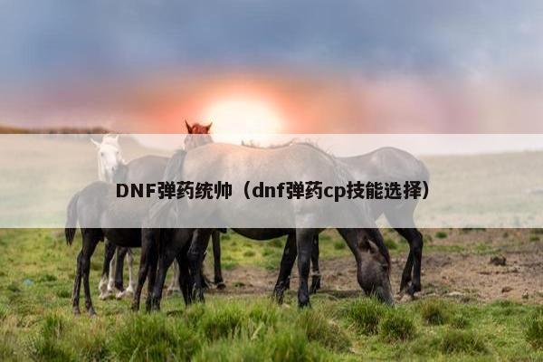 DNF弹药统帅（dnf弹药cp技能选择）