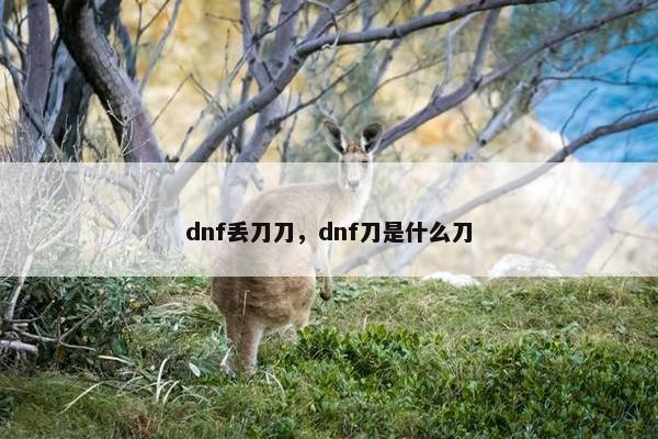 dnf丢刀刀，dnf刀是什么刀