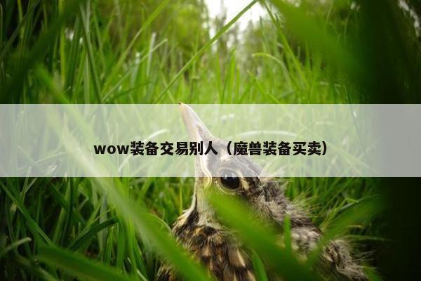 wow装备交易别人（魔兽装备买卖）