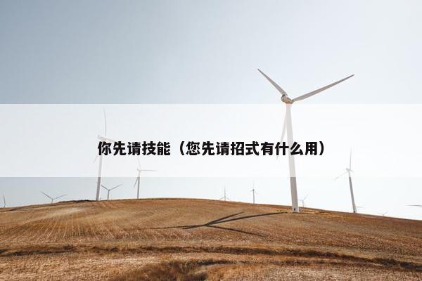 你先请技能（您先请招式有什么用）