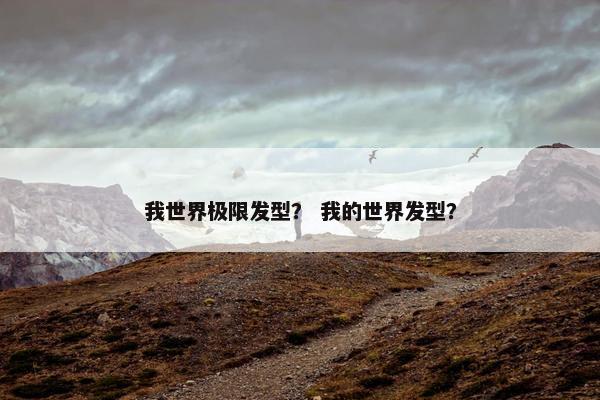 我世界极限发型？ 我的世界发型？