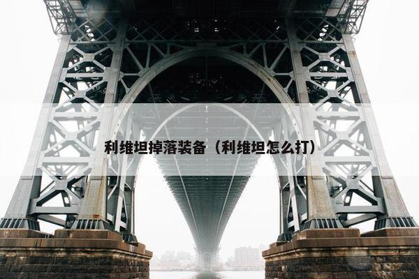 利维坦掉落装备（利维坦怎么打）