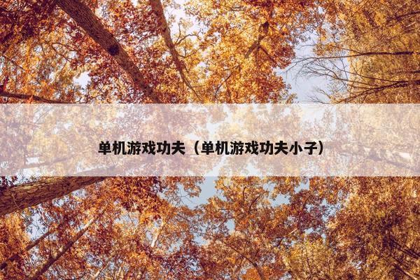 单机游戏功夫（单机游戏功夫小子）
