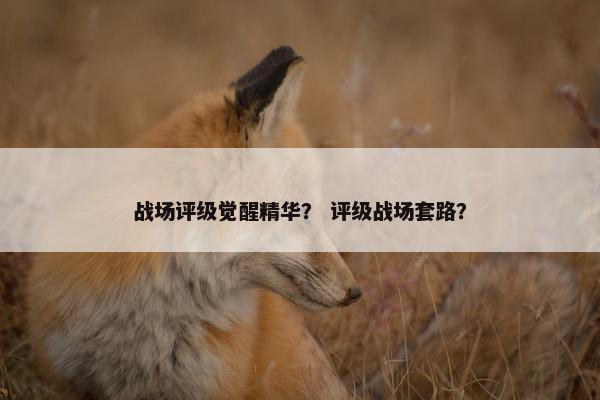 战场评级觉醒精华？ 评级战场套路？