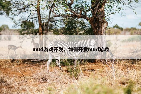 mud游戏开发，如何开发mud游戏