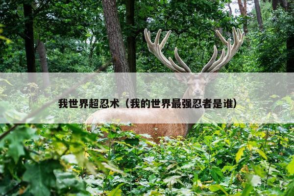 我世界超忍术（我的世界最强忍者是谁）