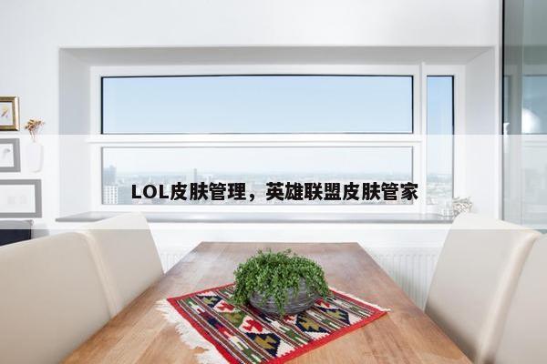 LOL皮肤管理，英雄联盟皮肤管家