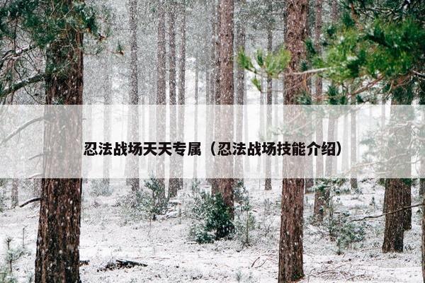 忍法战场天天专属（忍法战场技能介绍）