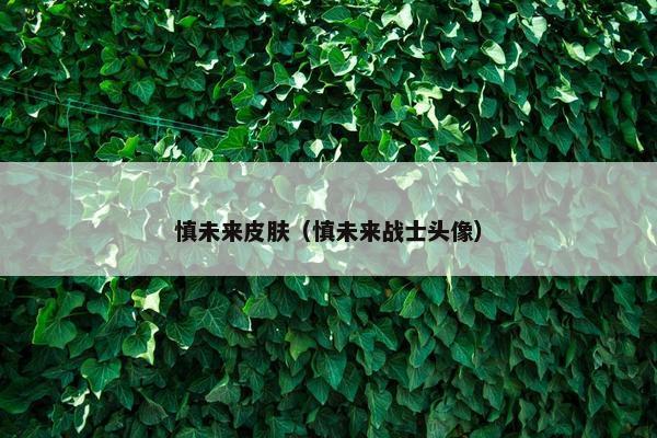 慎未来皮肤（慎未来战士头像）