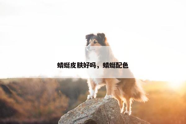 蜻蜓皮肤好吗，蜻蜓配色