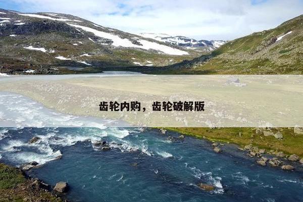 齿轮内购，齿轮破解版