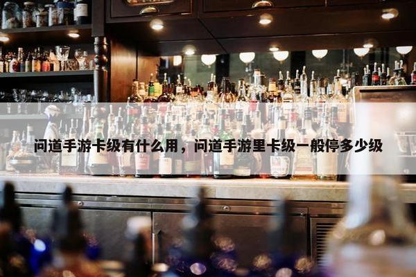 问道手游卡级有什么用，问道手游里卡级一般停多少级