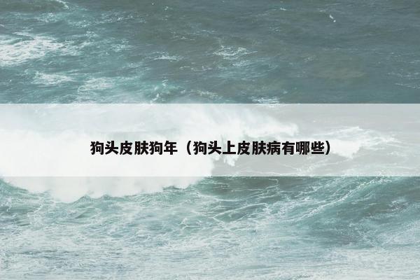 狗头皮肤狗年（狗头上皮肤病有哪些）