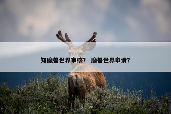 知魔兽世界审核？ 魔兽世界申请？