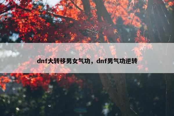 dnf大转移男女气功，dnf男气功逆转