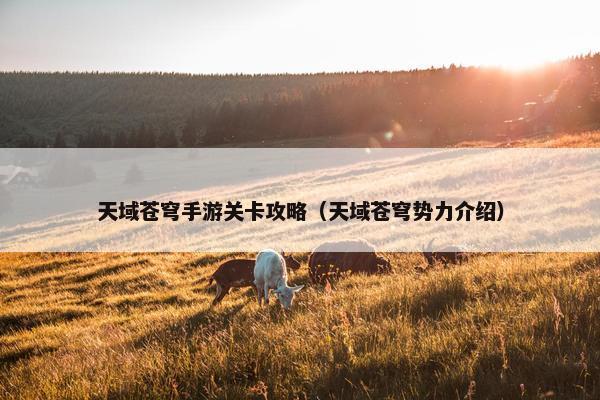 天域苍穹手游关卡攻略（天域苍穹势力介绍）
