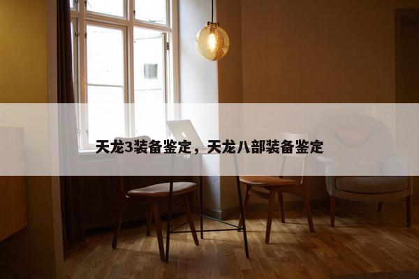天龙3装备鉴定，天龙八部装备鉴定