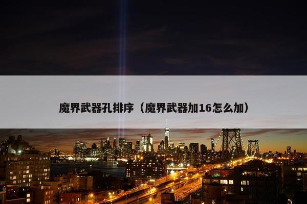 魔界武器孔排序（魔界武器加16怎么加）